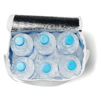 Borsa frigo